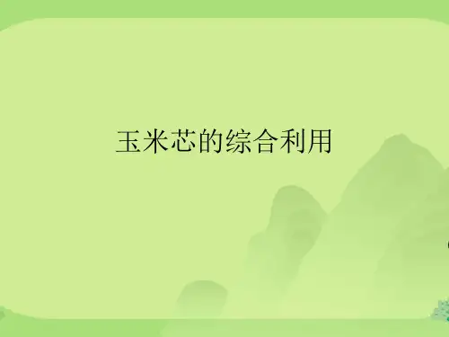 玉米芯的综合利用优秀课件