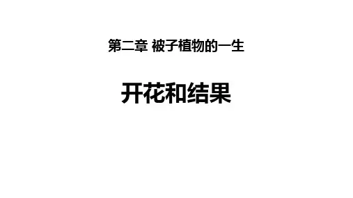 3.2.3  开花和结果  课件(29张PPT)-2023-2024学年人教版生物七年级上册