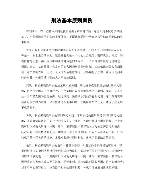 刑法基本原则案例