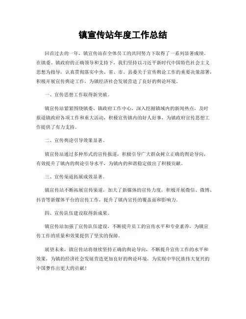 镇宣传站年度工作总结