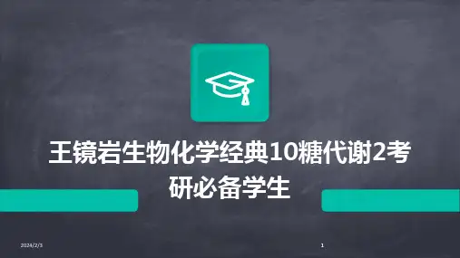 2024版年度王镜岩生物化学经典10糖代谢2考研必备学生