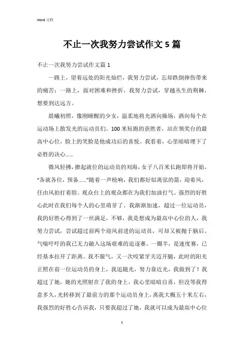 不止一次我努力尝试作文5篇