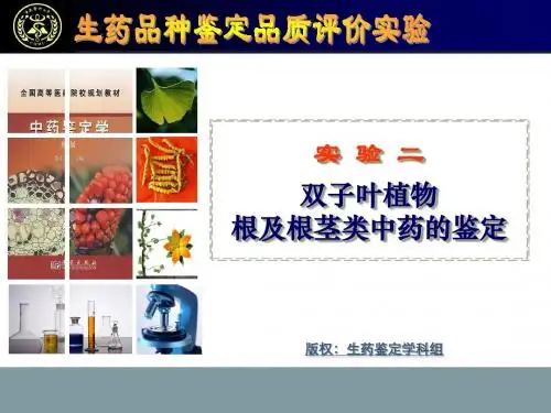 生药实验2