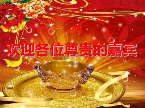 保单年检会流程篇样稿(外部会议时用)PPT课件