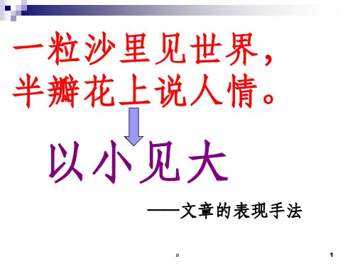 以小见大表现手法