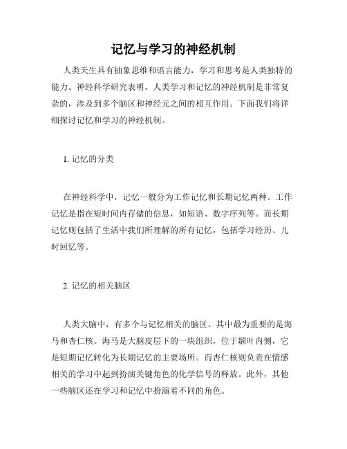 记忆与学习的神经机制