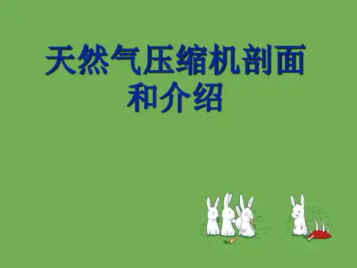 天然气压缩机剖面和介绍