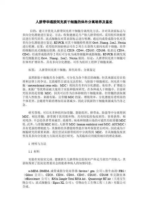 人脐带华通胶间充质干细胞的体外分离培养及鉴定