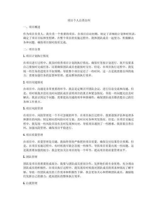 项目个人自查自纠