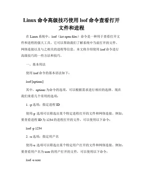 Linux命令高级技巧使用lsof命令查看打开文件和进程