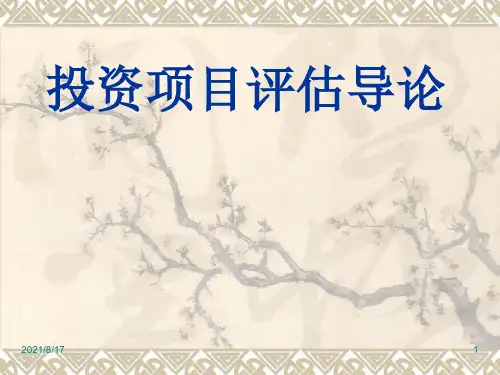 投资项目评估导论