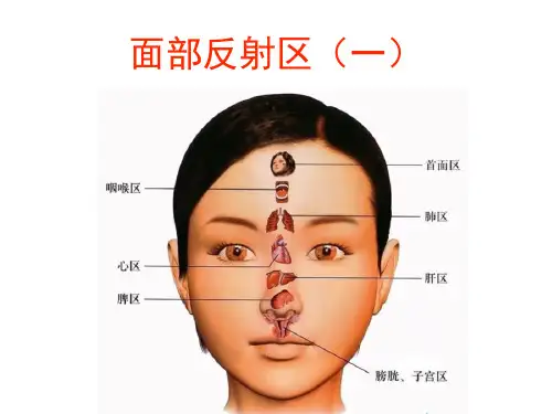 心脑血管手面诊1