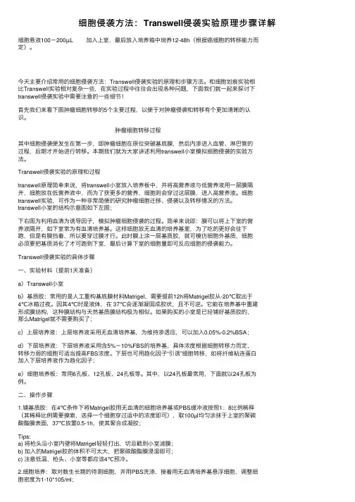 细胞侵袭方法：Transwell侵袭实验原理步骤详解