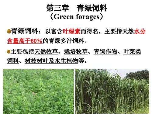 第二章 青绿饲料