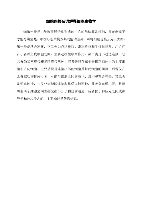 细胞连接名词解释细胞生物学