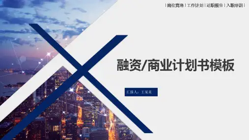化妆品项目策划书PPT