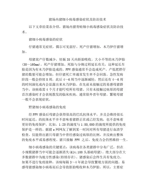 猪场内猪细小病毒感染症状及防治技术