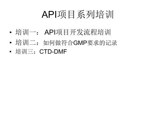 API项目开发流程培训PPT课件
