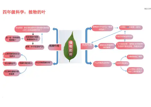 小学科学思维导图