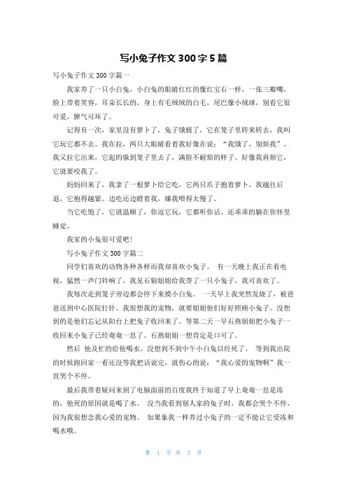 写小兔子作文300字5篇