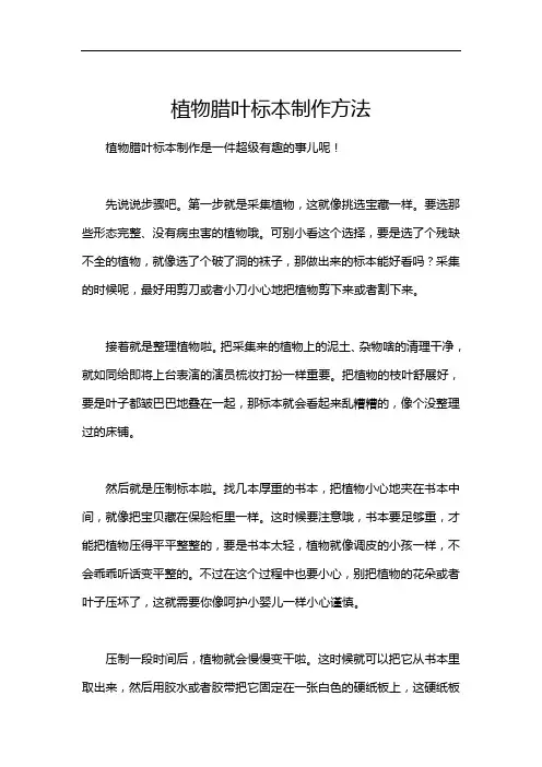 植物腊叶标本制作方法