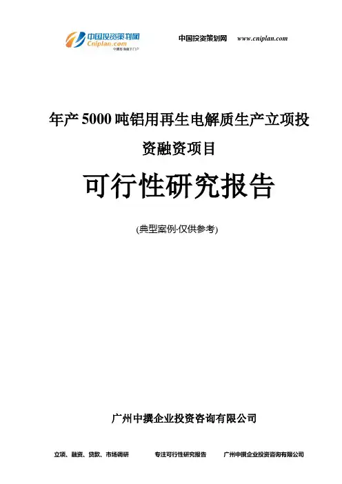 年产5000吨铝用再生电解质生产融资投资立项项目可行性研究报告(中撰咨询)