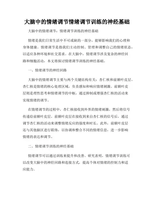 大脑中的情绪调节情绪调节训练的神经基础