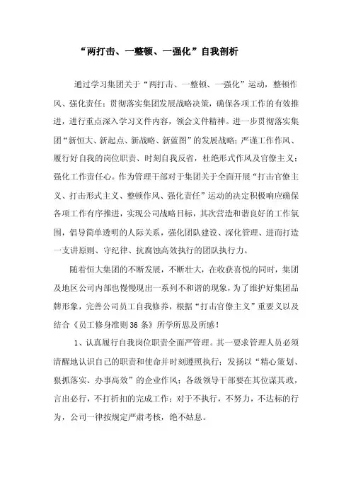 “整顿作风、强化责任”自我剖析材料--刘召辉