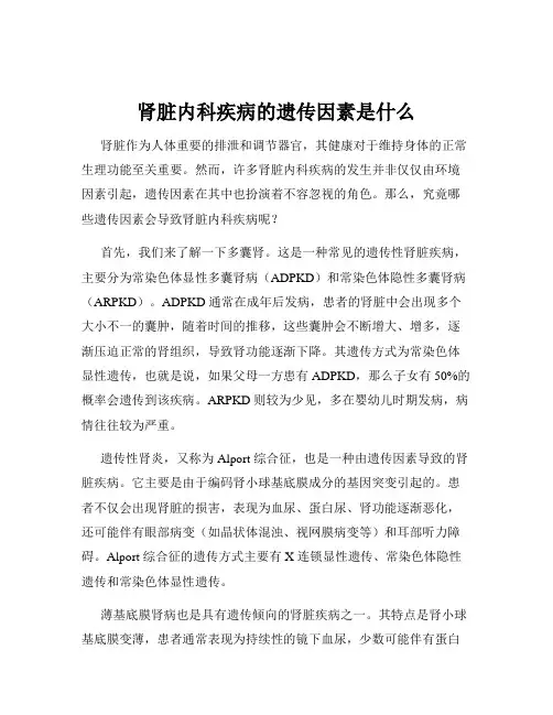 肾脏内科疾病的遗传因素是什么
