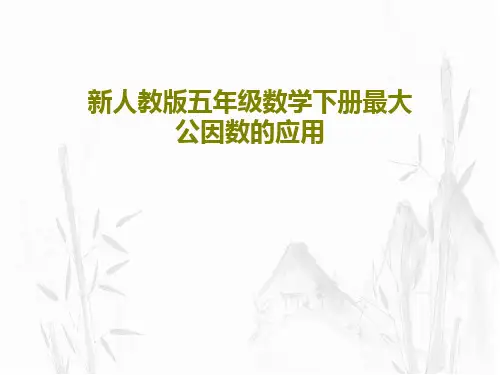 新人教版五年级数学下册最大公因数的应用共23页文档