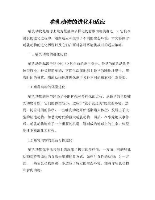 哺乳动物的进化和适应