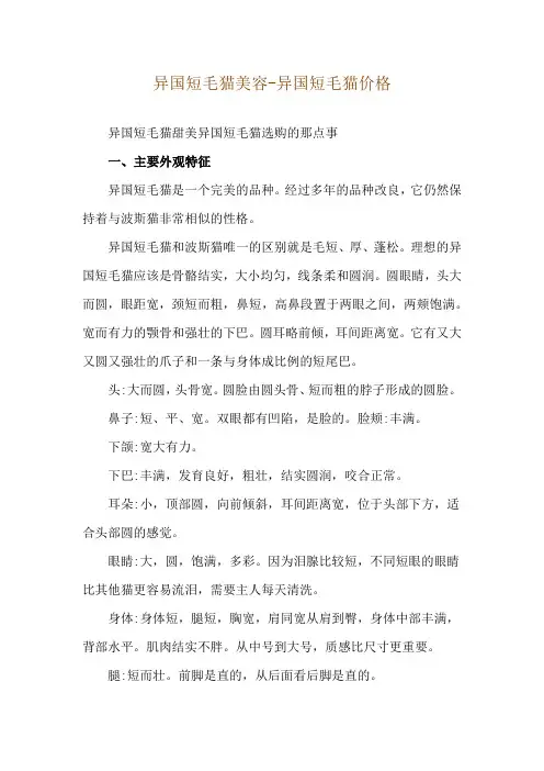异国短毛猫美容-异国短毛猫价格