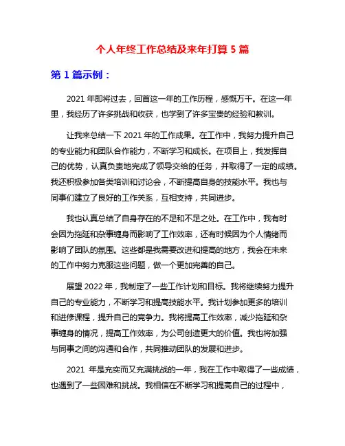 个人年终工作总结及来年打算5篇