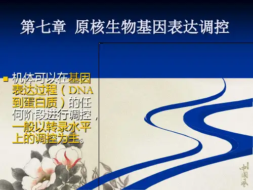 《现代分子生物学》第七章原核生物基因表达调控