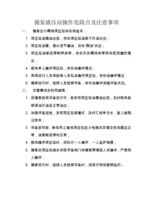 循泵液压站操作危险点及注意事项 Microsoft Word 文档
