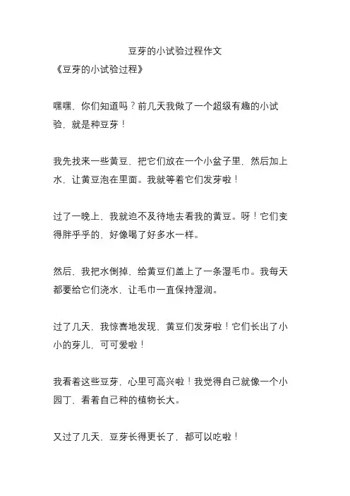 豆芽的小试验过程作文
