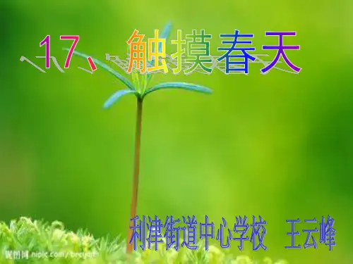 触摸春天ppt课件