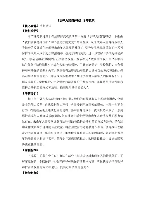 《法律为我们护航》名师教案