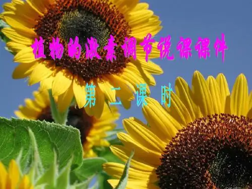 植物的激素调节说课课件