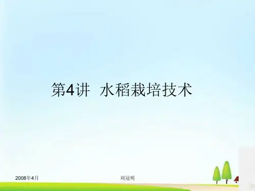 水稻栽培技术专题培训(ppt 36页)