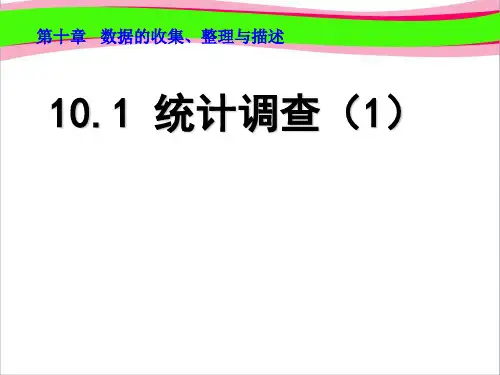 .统计调查()    优秀课特等奖 课件