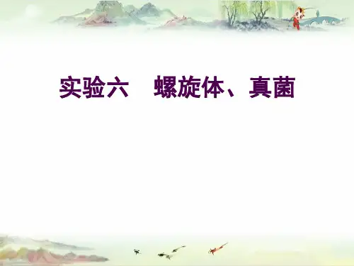 实验课6 ——【医学微生物学精品讲义】