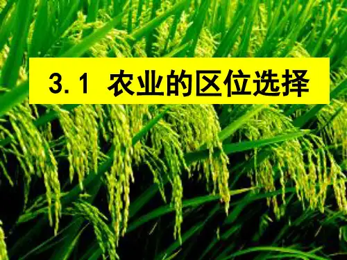 农业区位选择(多图)