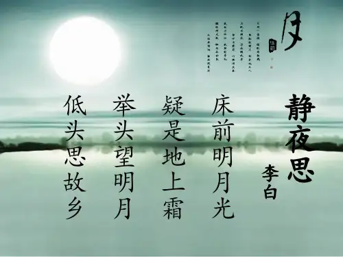 社会学批评