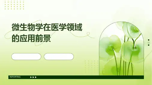 微生物学在医学领域的应用前景