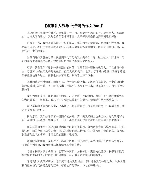 【叙事】人和马 关于马的作文700字
