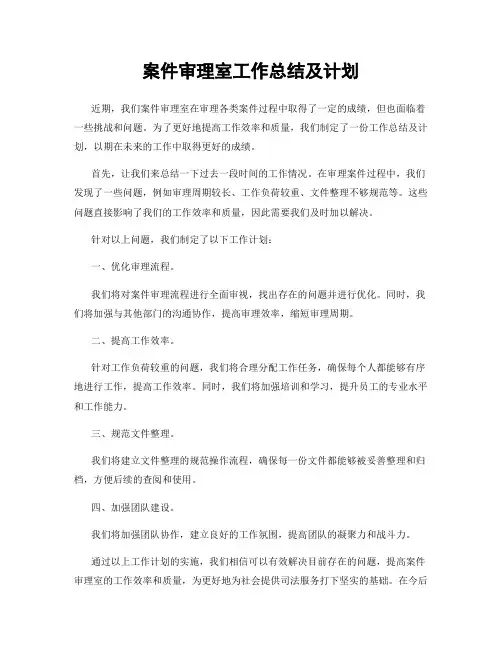 案件审理室工作总结及计划