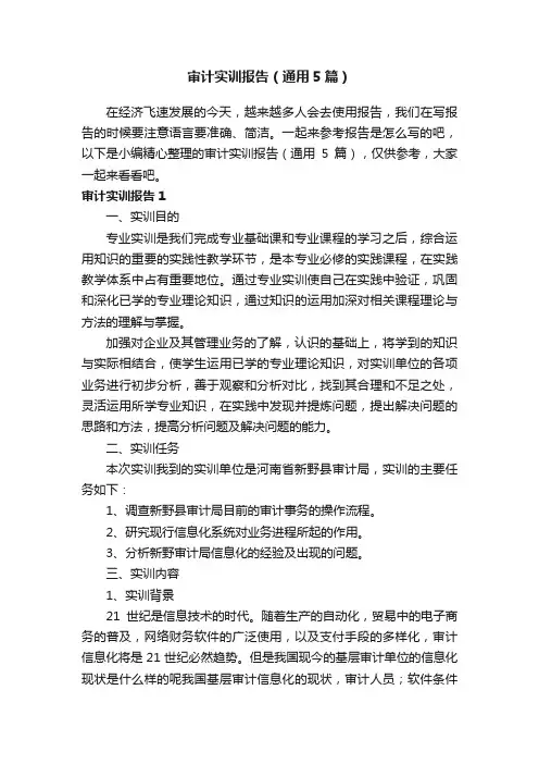 审计实训报告（通用5篇）