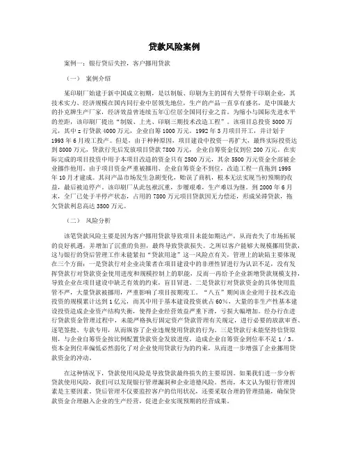 贷款风险案例