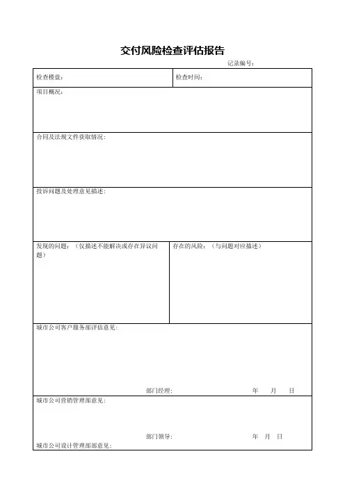 交付风险检查评估报告